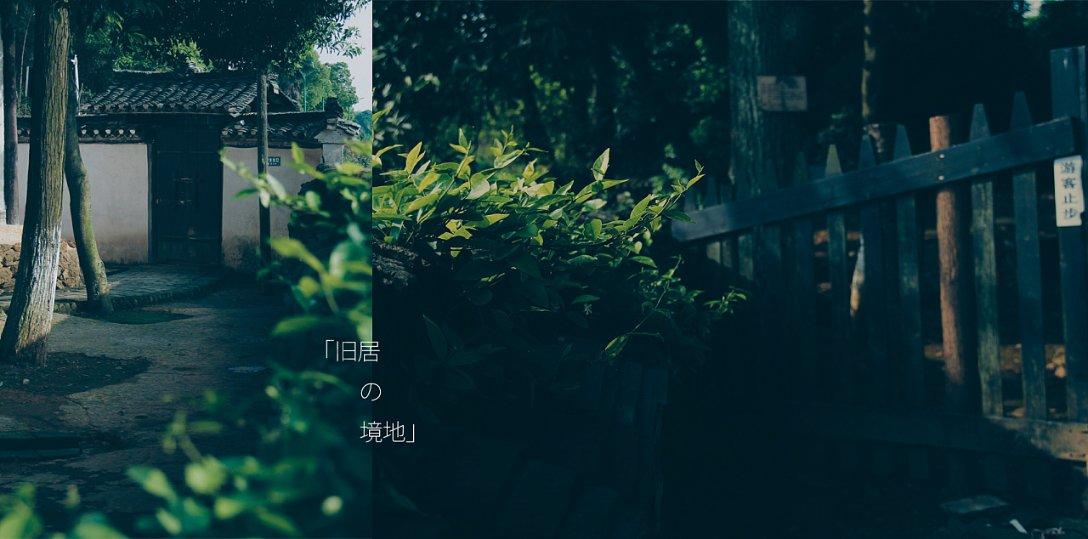 消逝的光芒