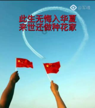 猫猫冒险团