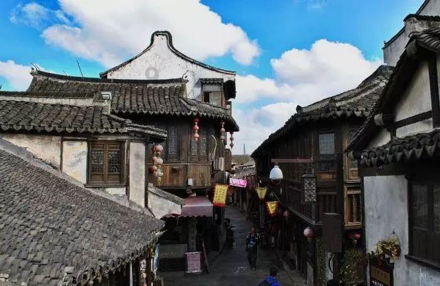 大山羔羊逃生
